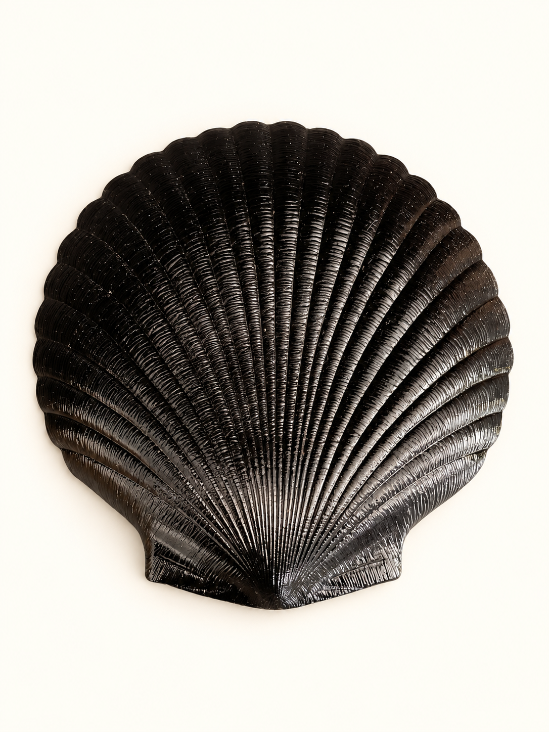 Arcoroc Coquillage Black Glass Shell Plate Set